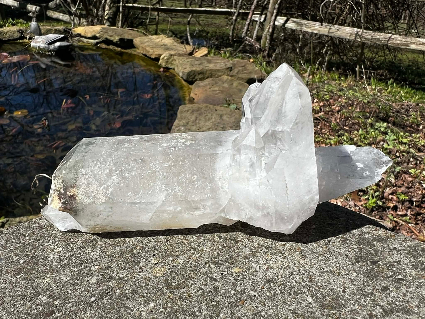 Quartz Crystal Specimen ~ with Chlorite - Gem Realm 