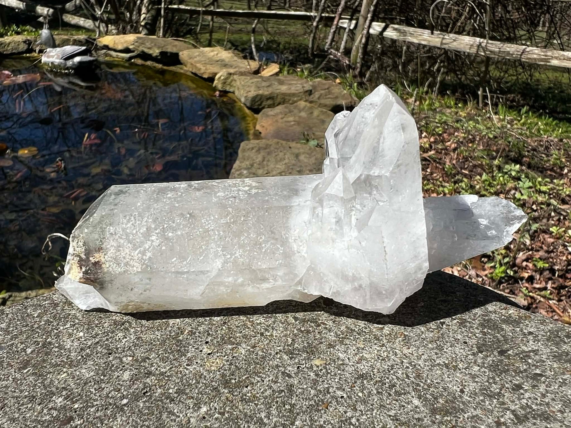 Quartz Crystal Specimen ~ with Chlorite - Gem Realm 
