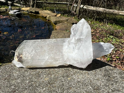 Quartz Crystal Specimen ~ with Chlorite - Gem Realm 