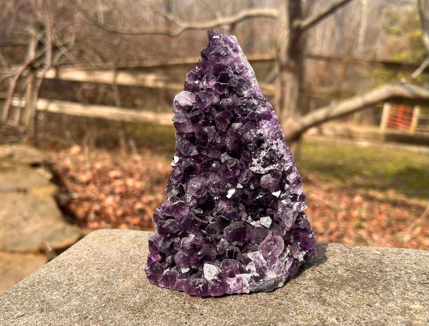 Amethyst Geode - Gem Realm 