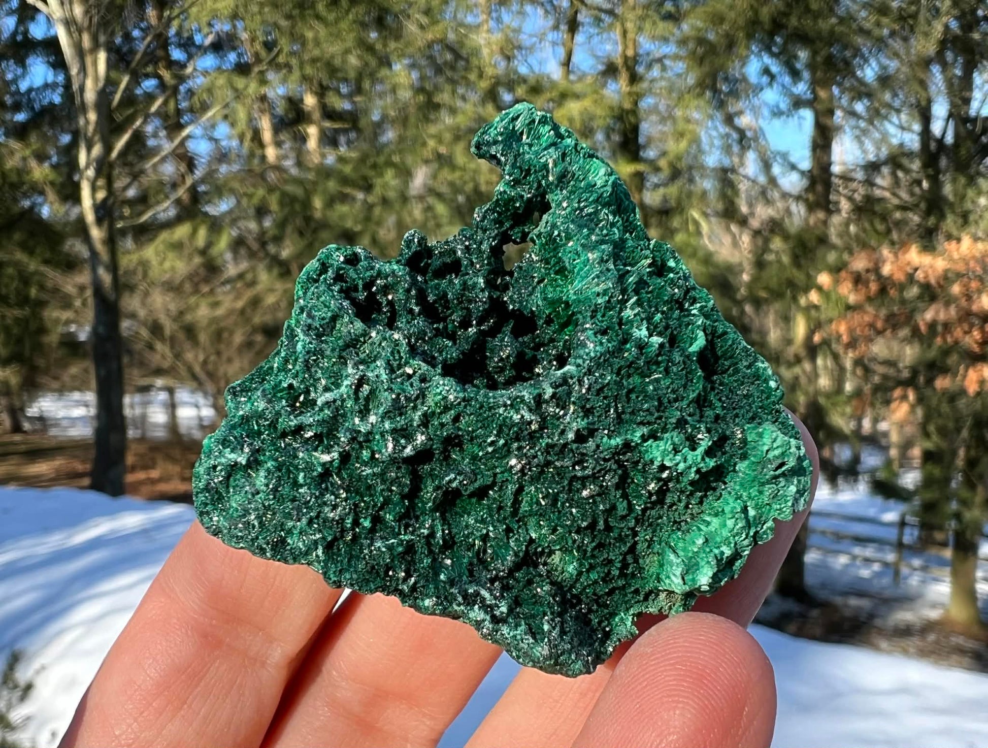 Silk Malachite Specimen #10 - Gem Realm 