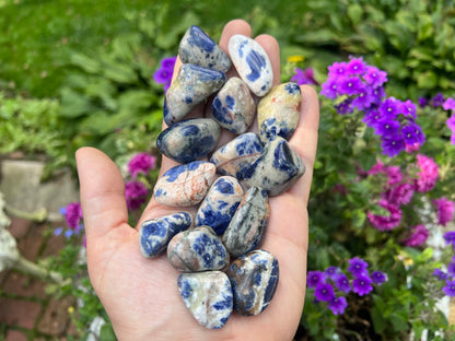 Sodalite Tumbled Stones