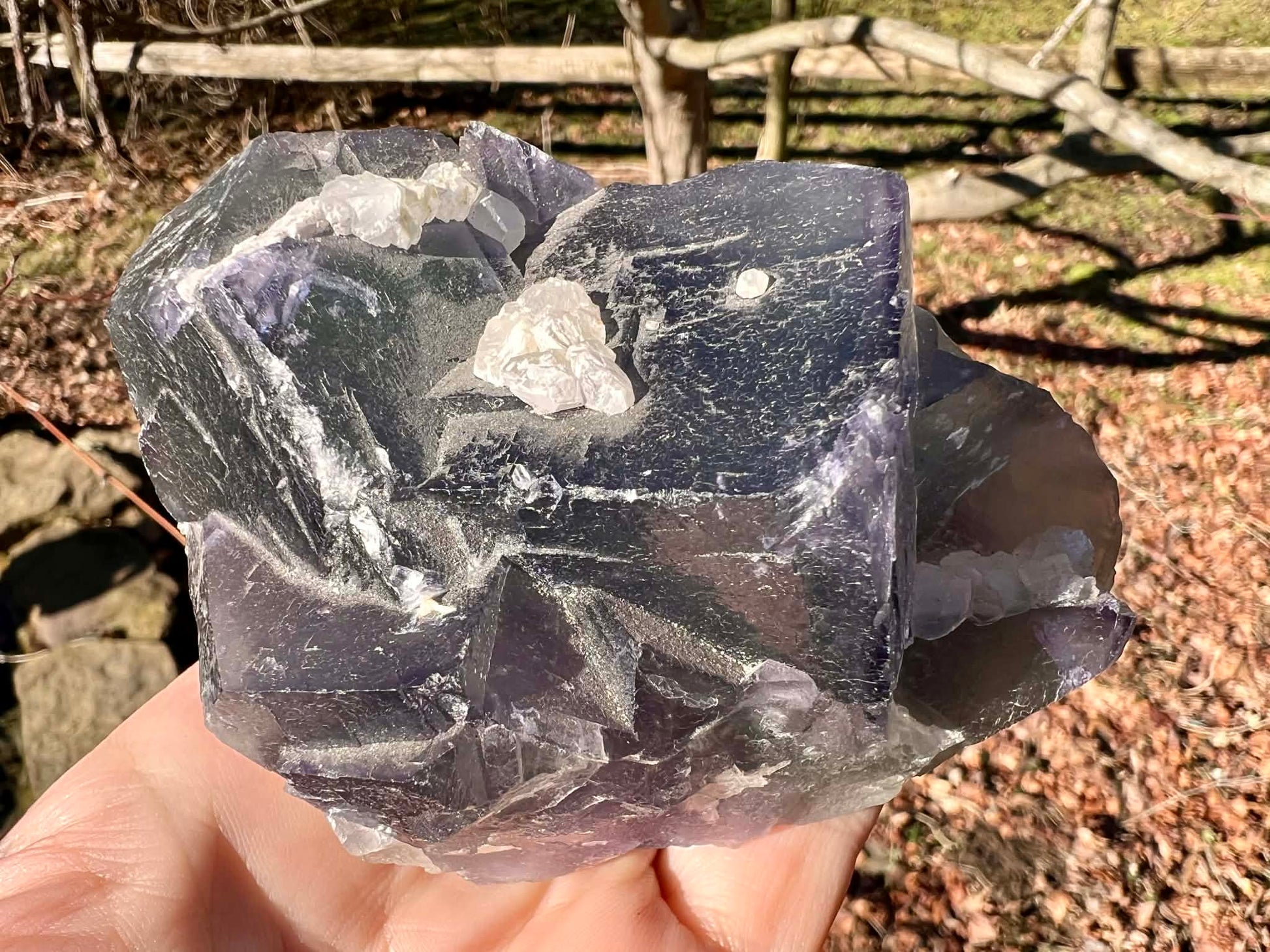 Rainbow Fluorite Specimen - Gem Realm 