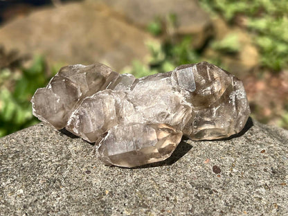 Smoky Elestial Quartz Specimen #7 - Gem Realm 