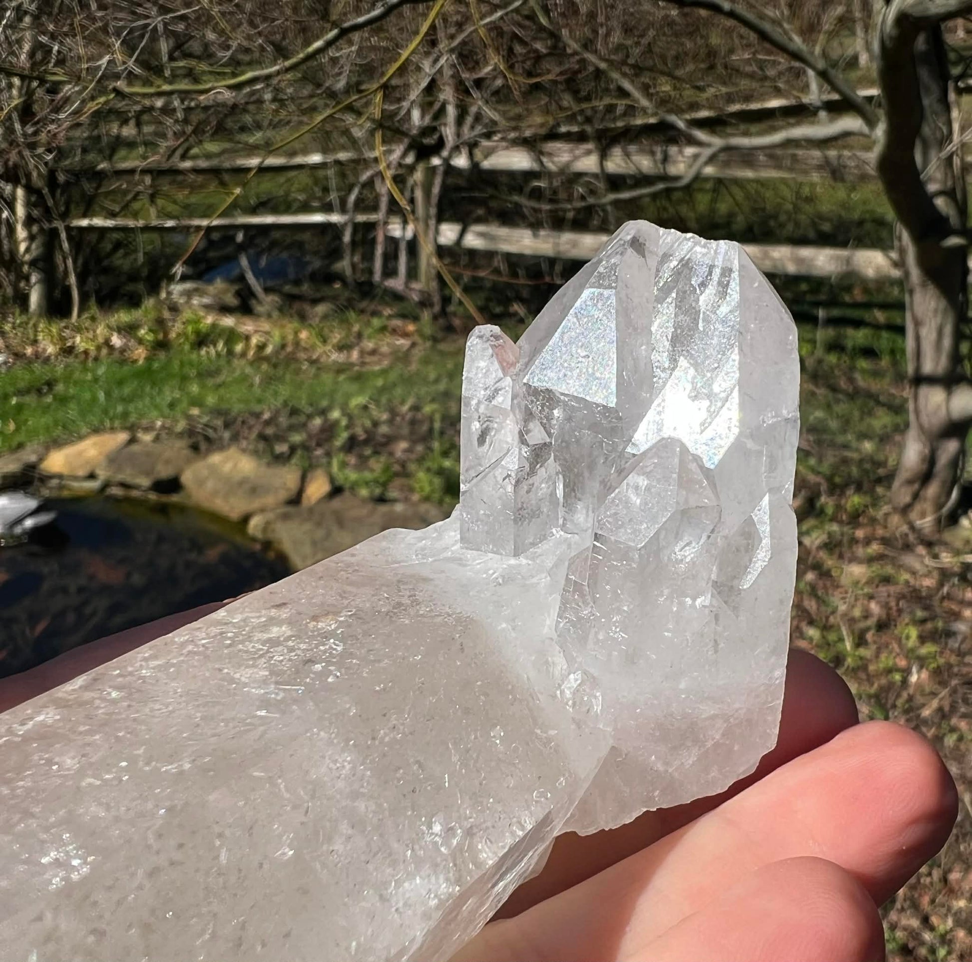 Quartz Crystal Specimen ~ with Chlorite - Gem Realm 