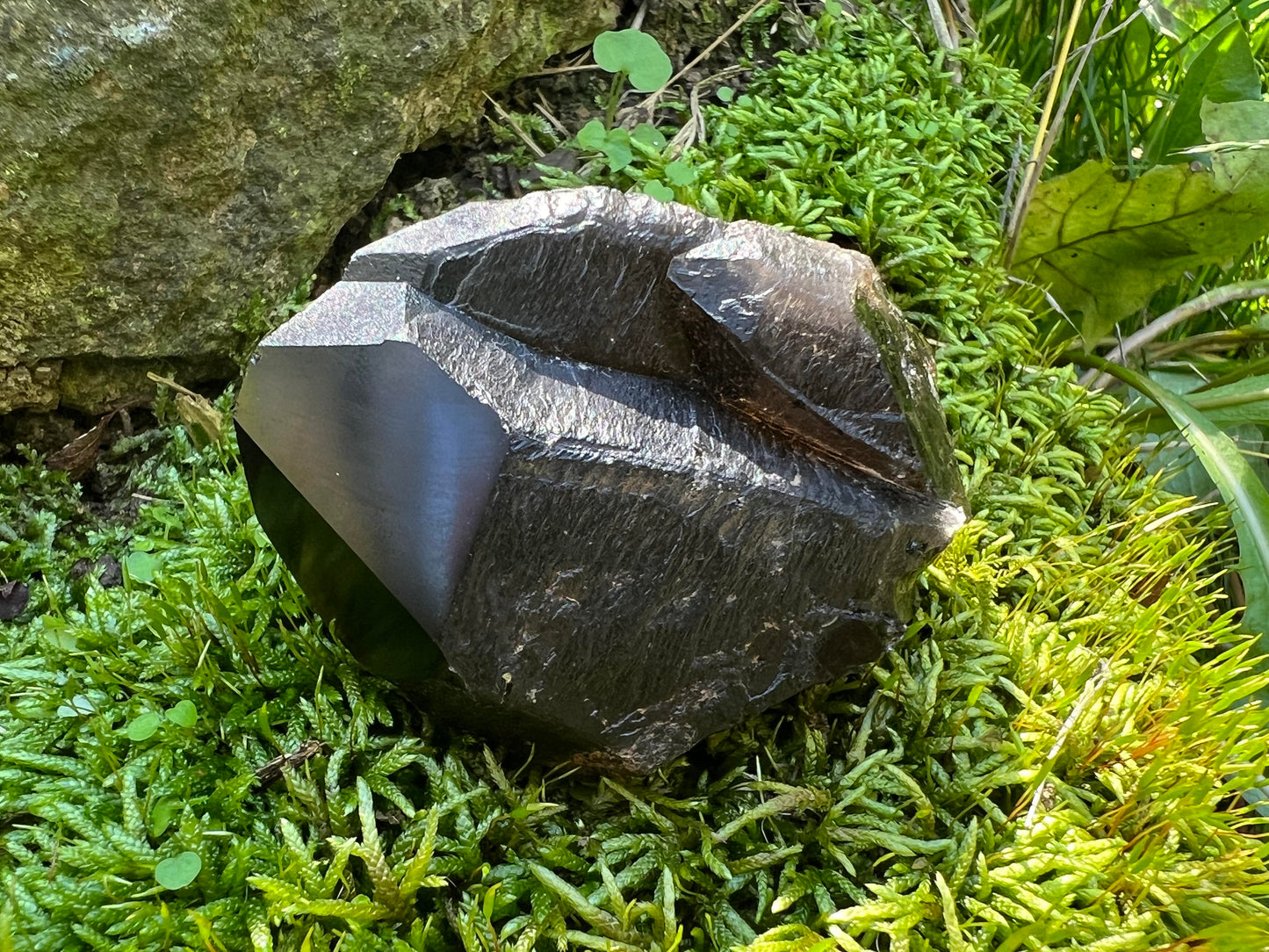 Morion Smoky Quartz Crystal Point Specimen