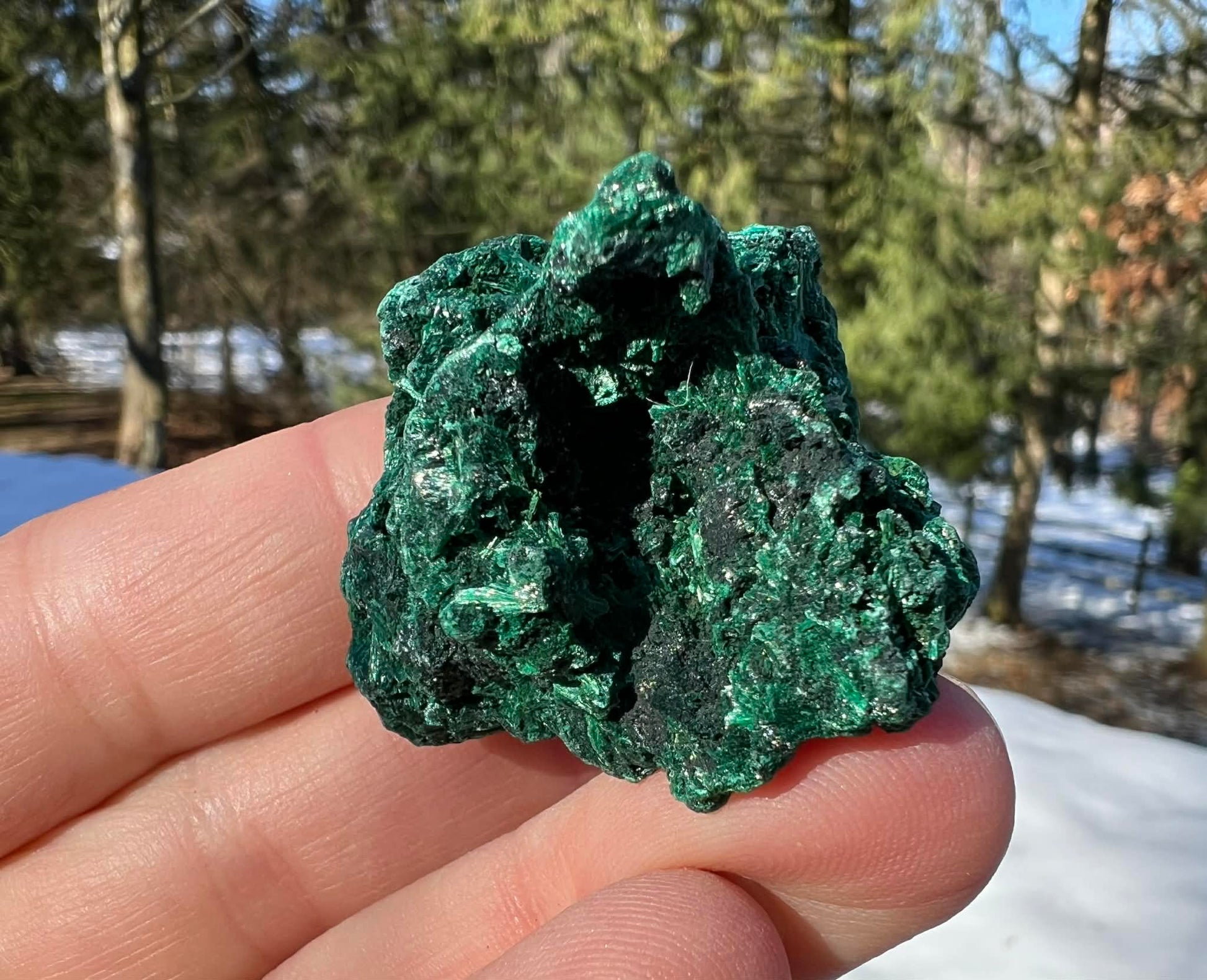 Silk Malachite Specimen #21 - Gem Realm 