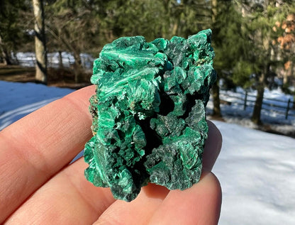 Silk Malachite Specimen #14 - Gem Realm 