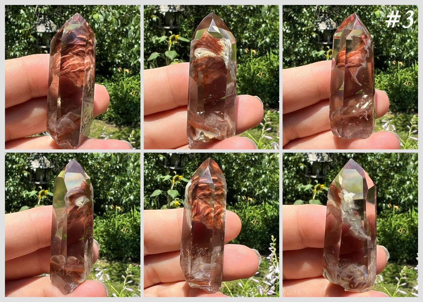 Amphibole Quartz Points