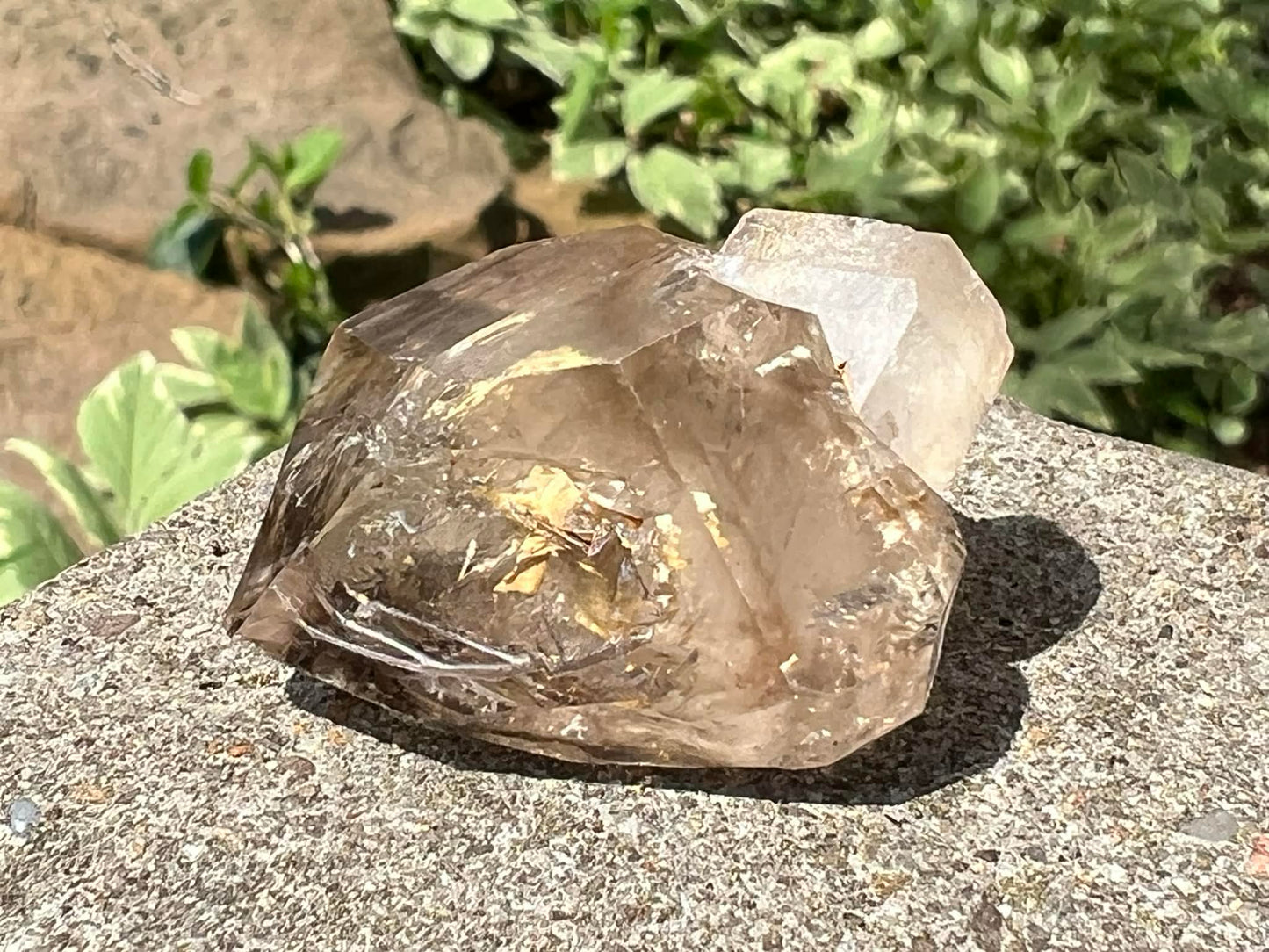 Smoky Elestial Quartz Specimen #10 - Gem Realm 