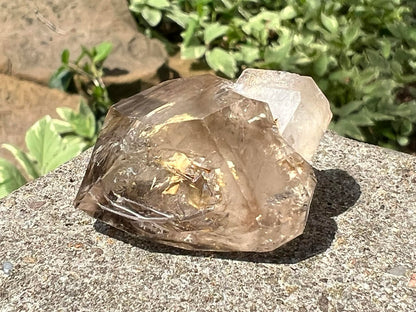 Smoky Elestial Quartz Specimen #10 - Gem Realm 