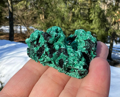 Silk Malachite Specimen #9 - Gem Realm 