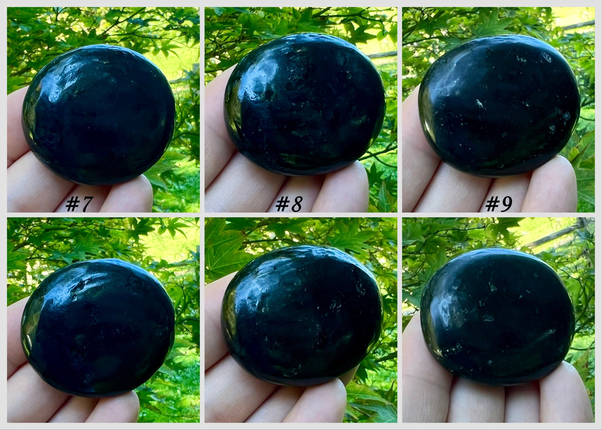 Black Tourmaline Palm Stones - Gem Realm 