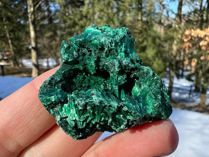 Silk Malachite Specimen #17 - Gem Realm 