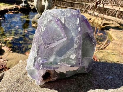 Rainbow Fluorite Specimen - Gem Realm 