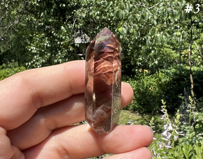 Amphibole Quartz Points