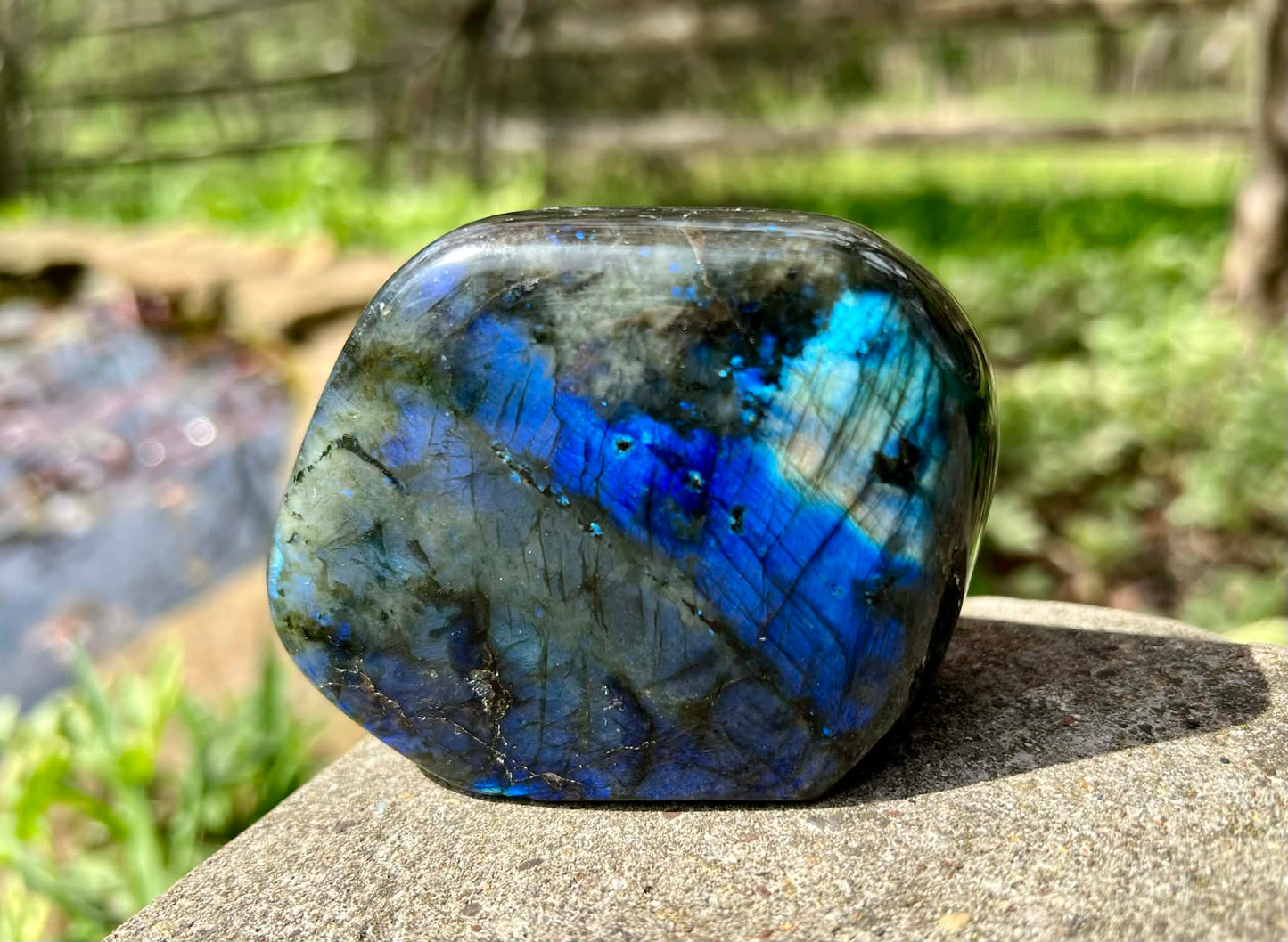 Labradorite Freeform - Gem Realm 