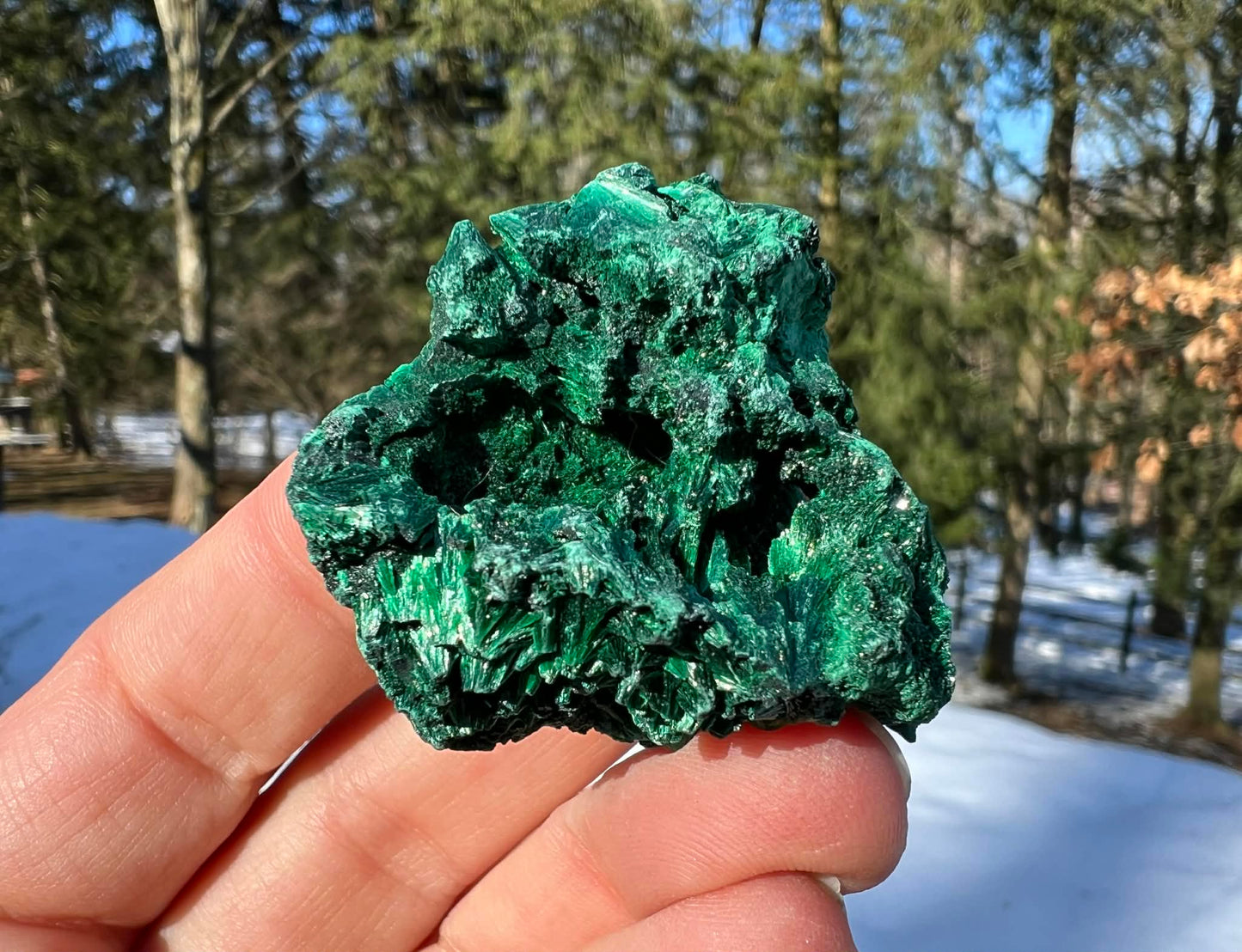 Silk Malachite Specimen #17 - Gem Realm 