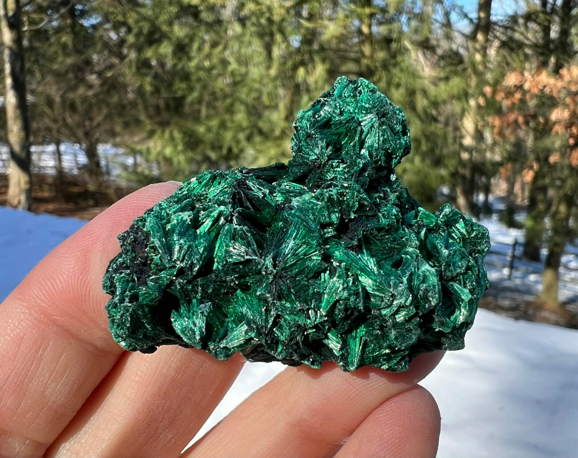 Silk Malachite Specimen #20 - Gem Realm 
