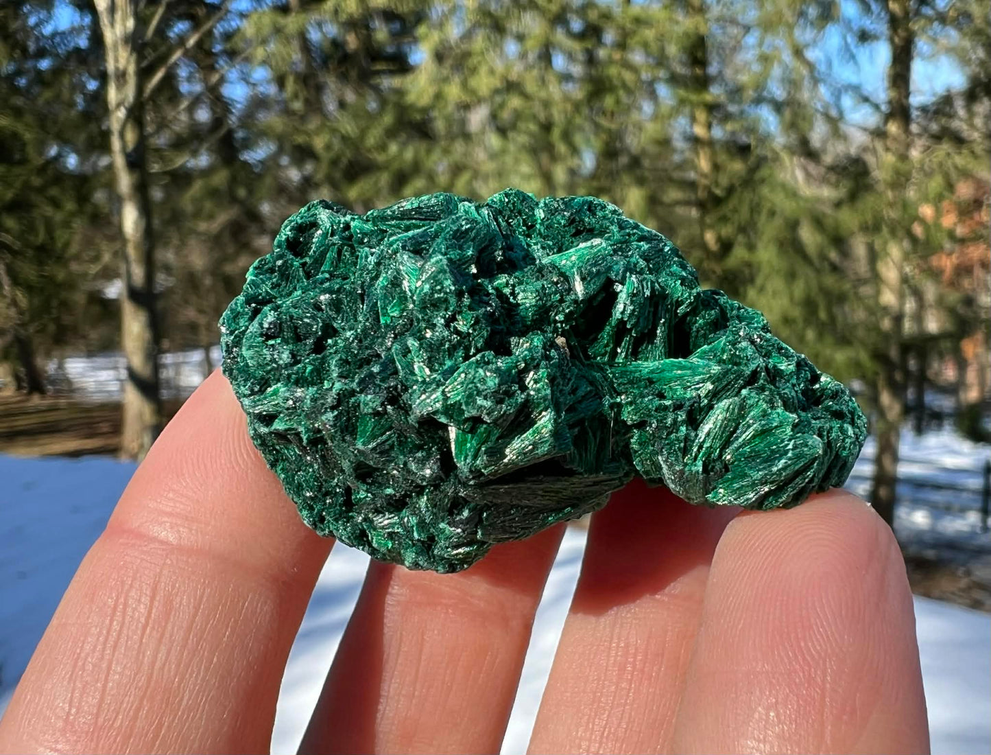 Silk Malachite Specimen #18 - Gem Realm 