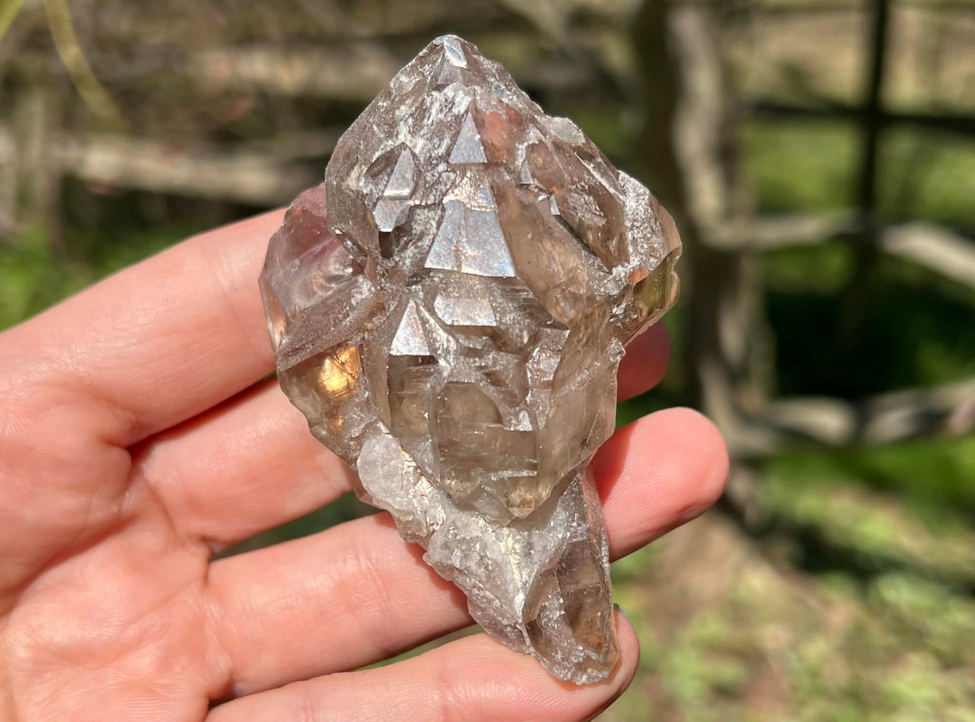 Smoky Elestial Quartz Specimen #9 - Gem Realm 