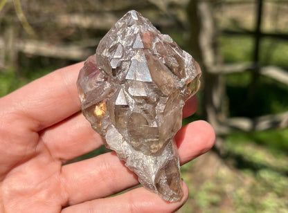 Smoky Elestial Quartz Specimen #9 - Gem Realm 