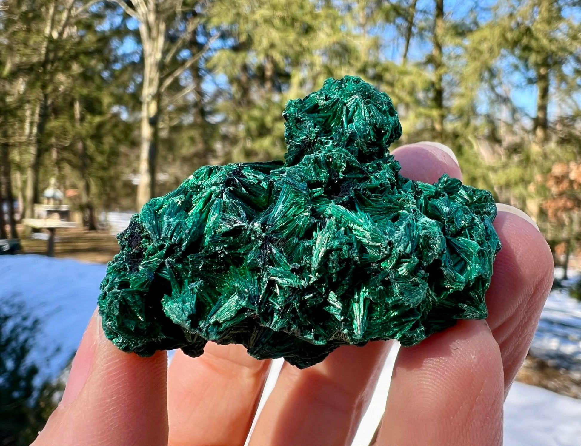 Silk Malachite Specimen #20 - Gem Realm 
