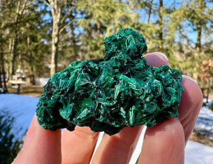 Silk Malachite Specimen #20 - Gem Realm 