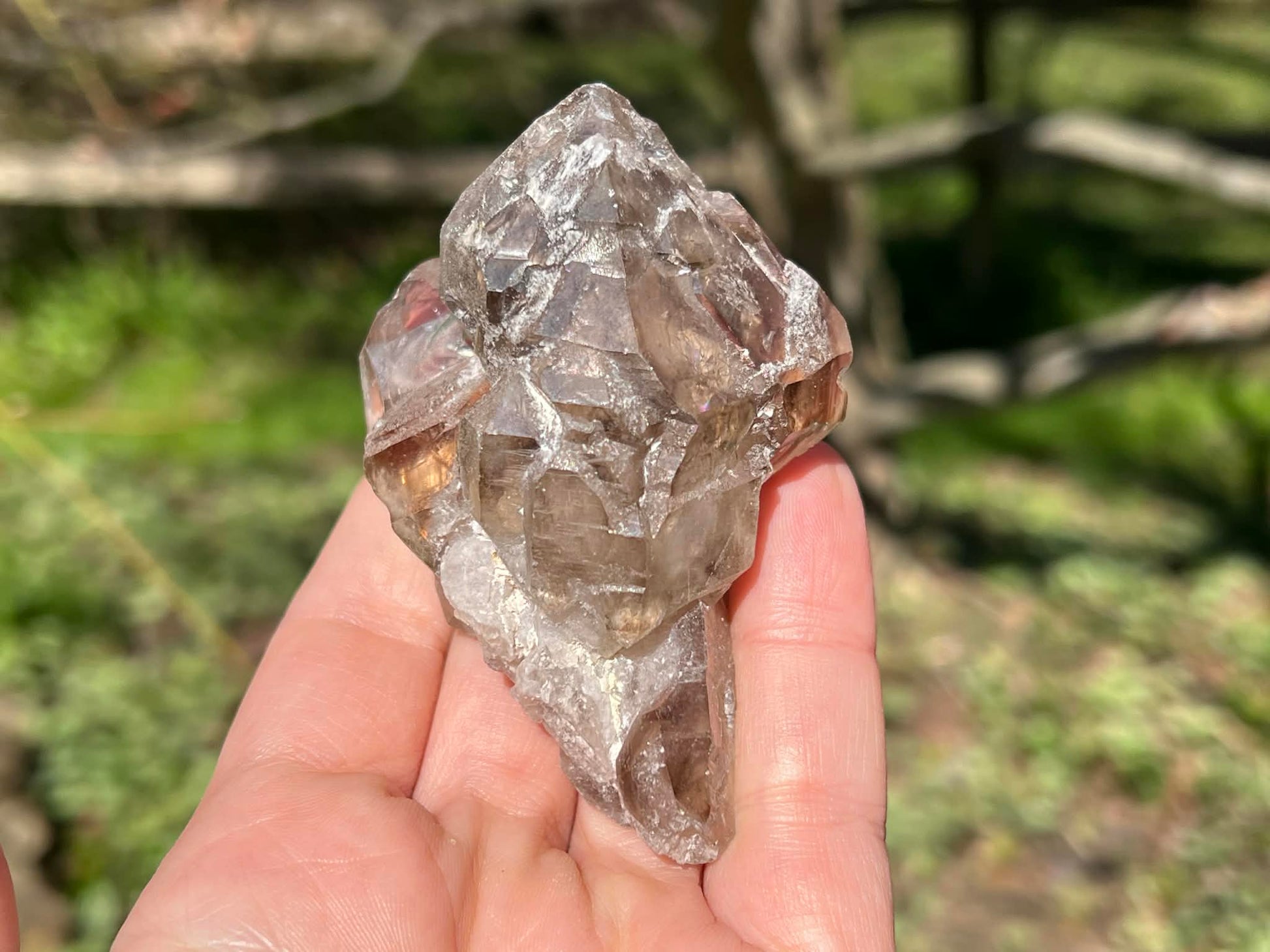 Smoky Elestial Quartz Specimen #9 - Gem Realm 