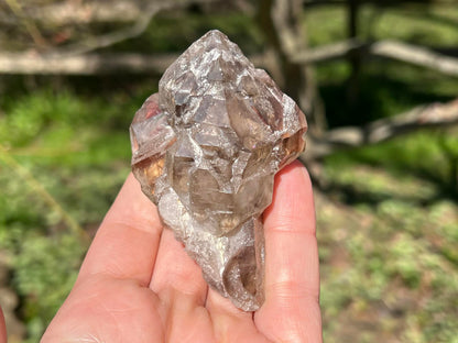 Smoky Elestial Quartz Specimen #9 - Gem Realm 