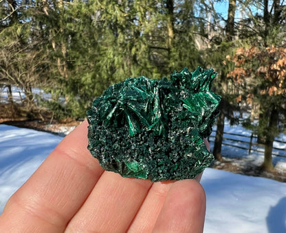 Silk Malachite Specimen #7 - Gem Realm 