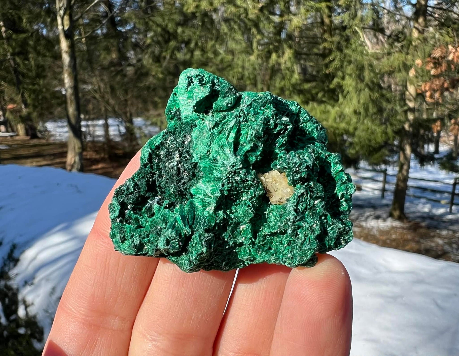 Silk Malachite Specimen #22 - Gem Realm 