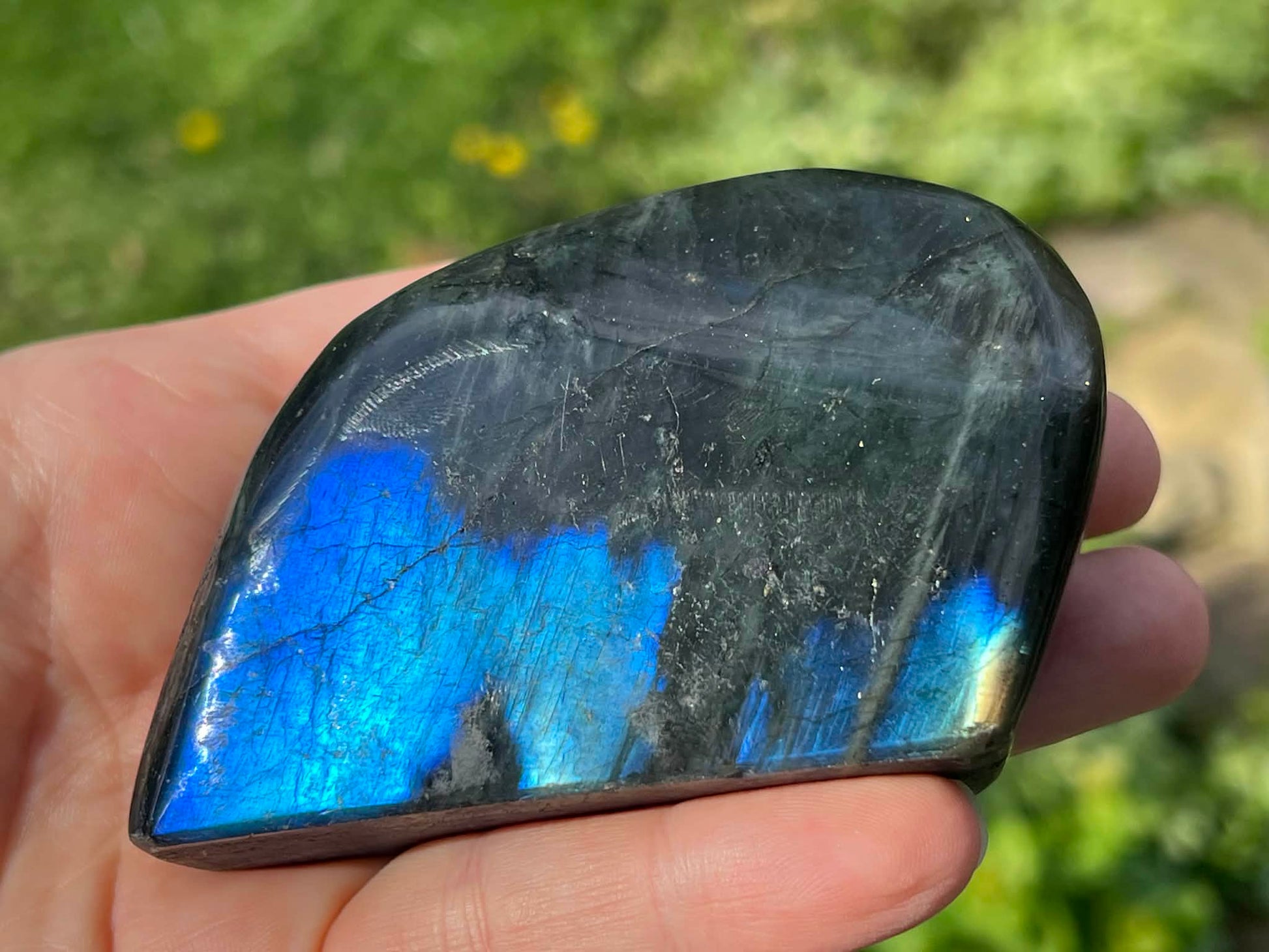 Labradorite Freeform - Gem Realm 