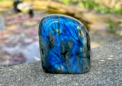 Labradorite Freeform - Gem Realm 