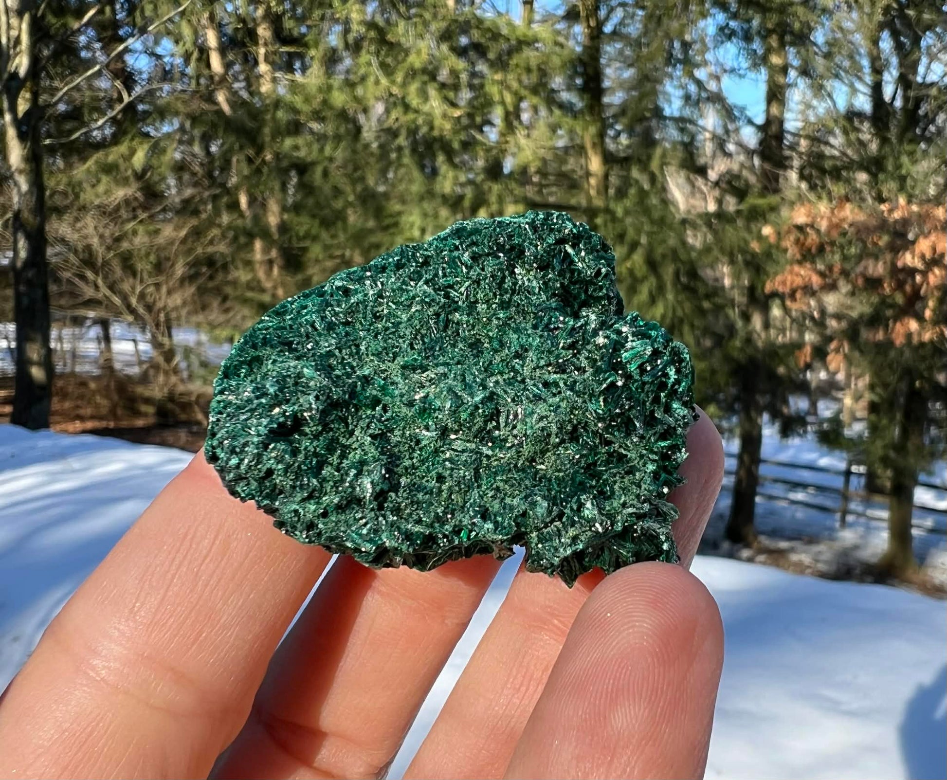 Silk Malachite Specimen #7 - Gem Realm 