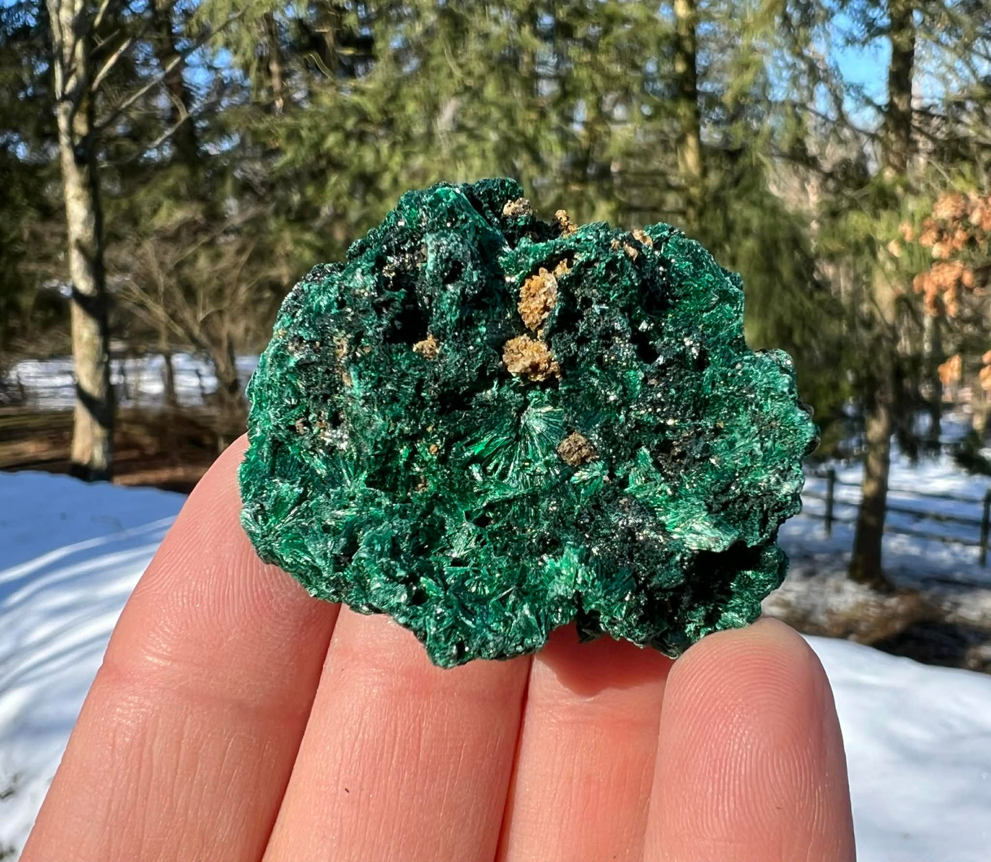 Silk Malachite Specimen #16 - Gem Realm 