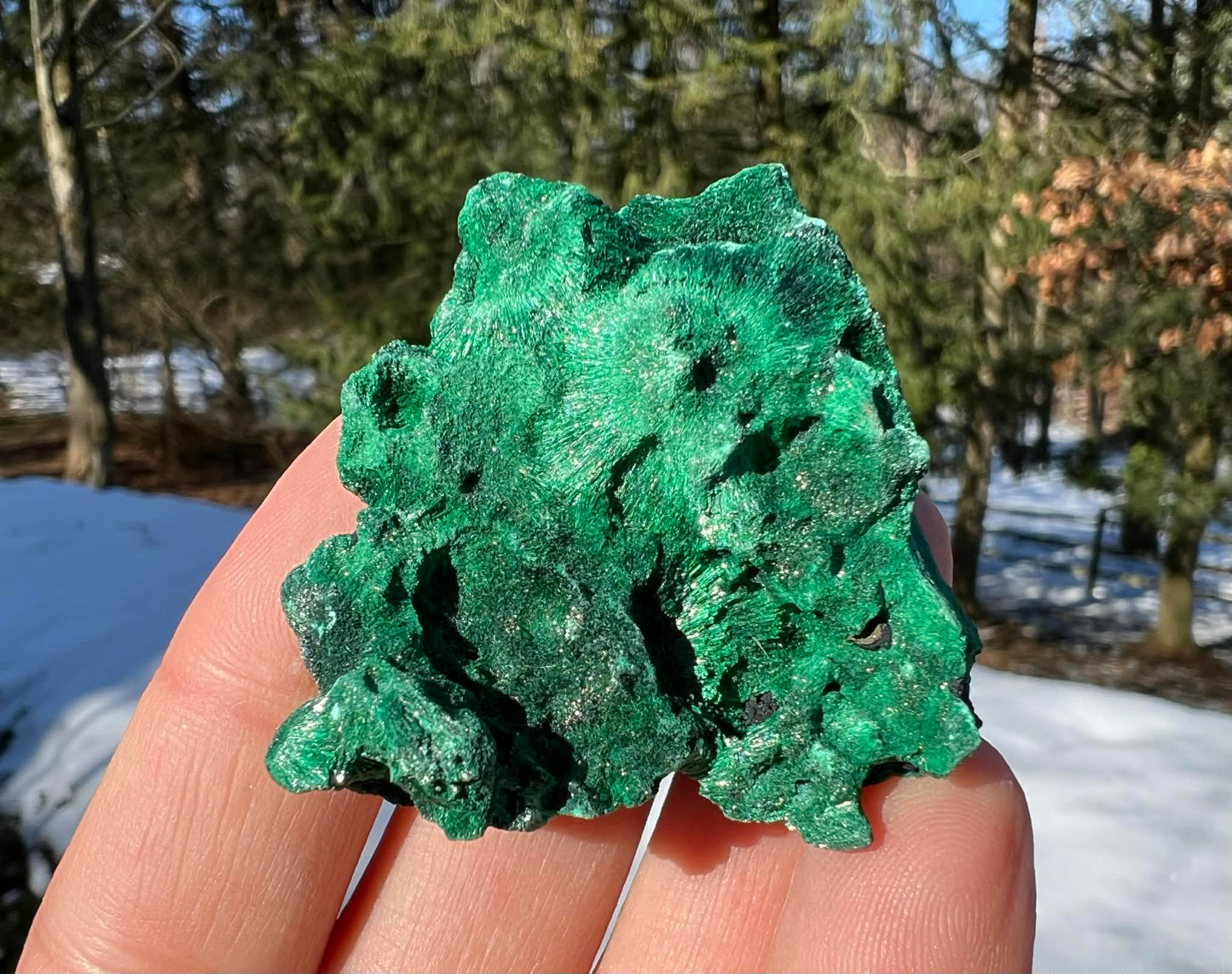 Silk Malachite Specimen #24 - Gem Realm 