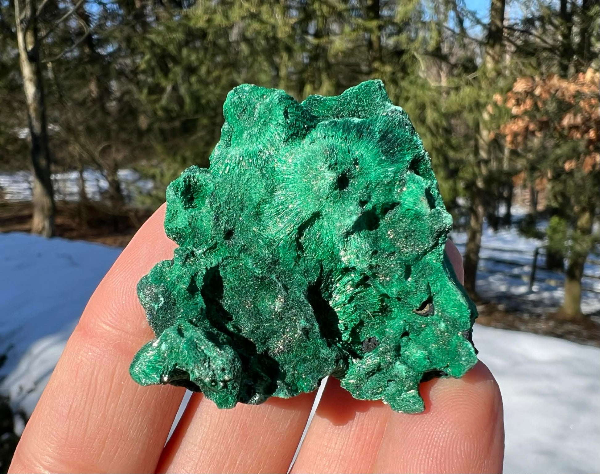 Silk Malachite Specimen #24 - Gem Realm 