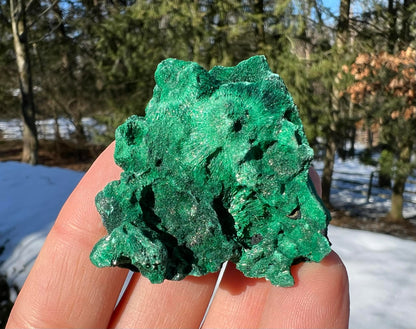 Silk Malachite Specimen #24 - Gem Realm 