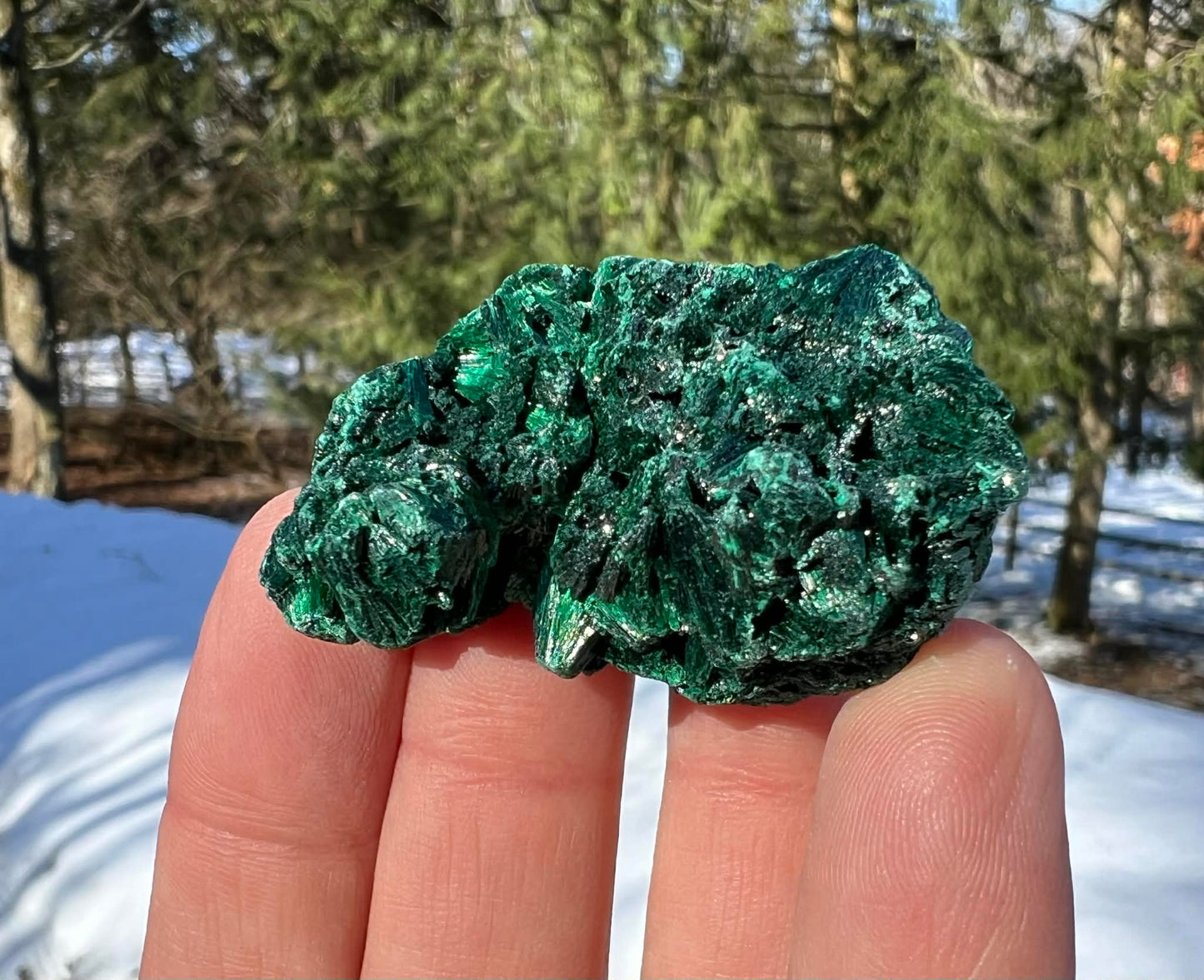 Silk Malachite Specimen #18 - Gem Realm 