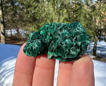 Silk Malachite Specimen #18 - Gem Realm 