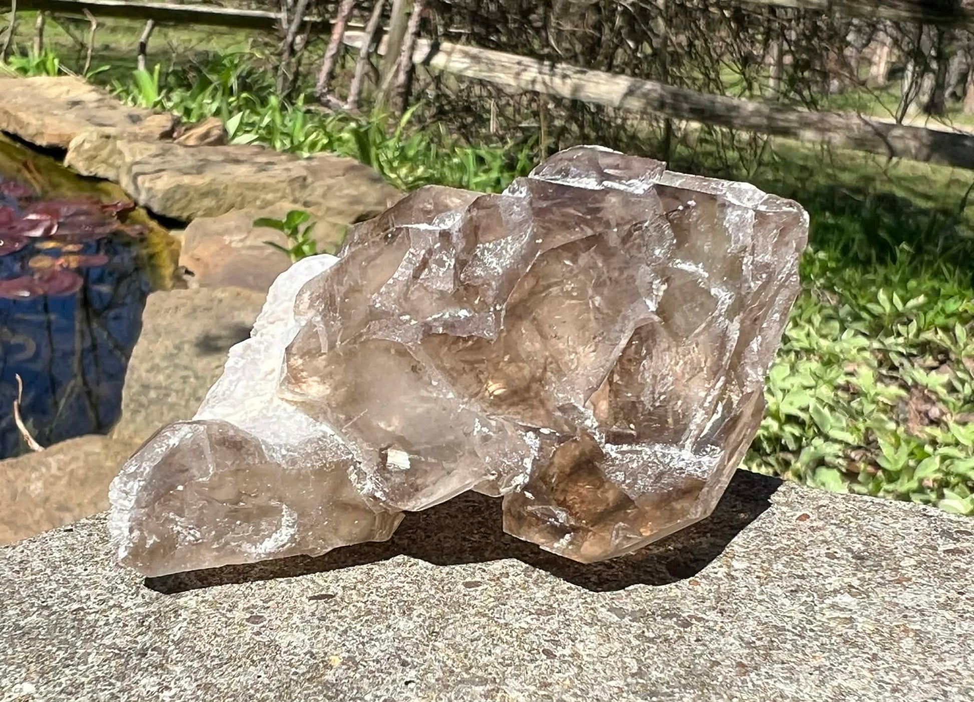 Smoky Elestial Quartz Specimen #9 - Gem Realm 