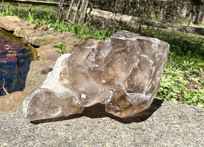 Smoky Elestial Quartz Specimen #9 - Gem Realm 