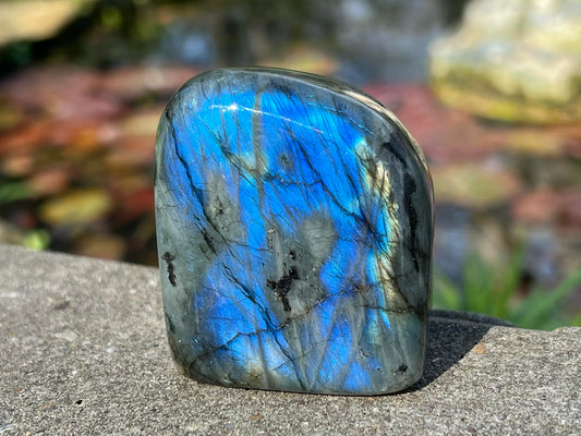 Labradorite Freeform - Gem Realm 