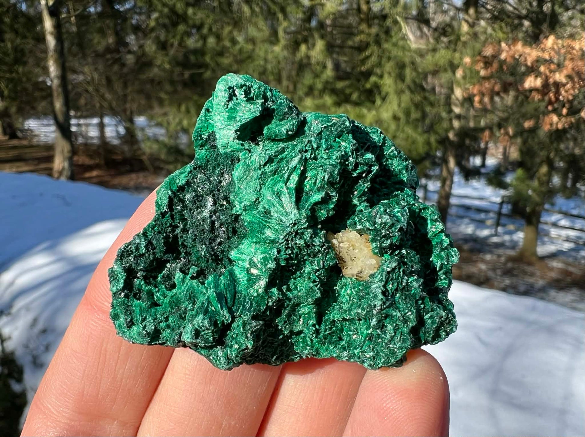 Silk Malachite Specimen #22 - Gem Realm 