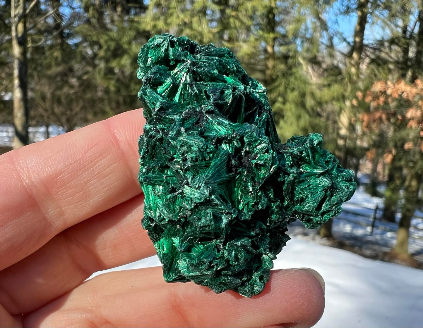 Silk Malachite Specimen #20 - Gem Realm 