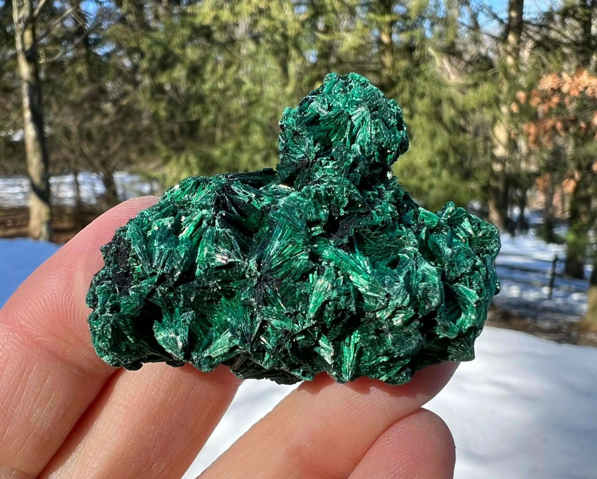 Silk Malachite Specimen #20 - Gem Realm 
