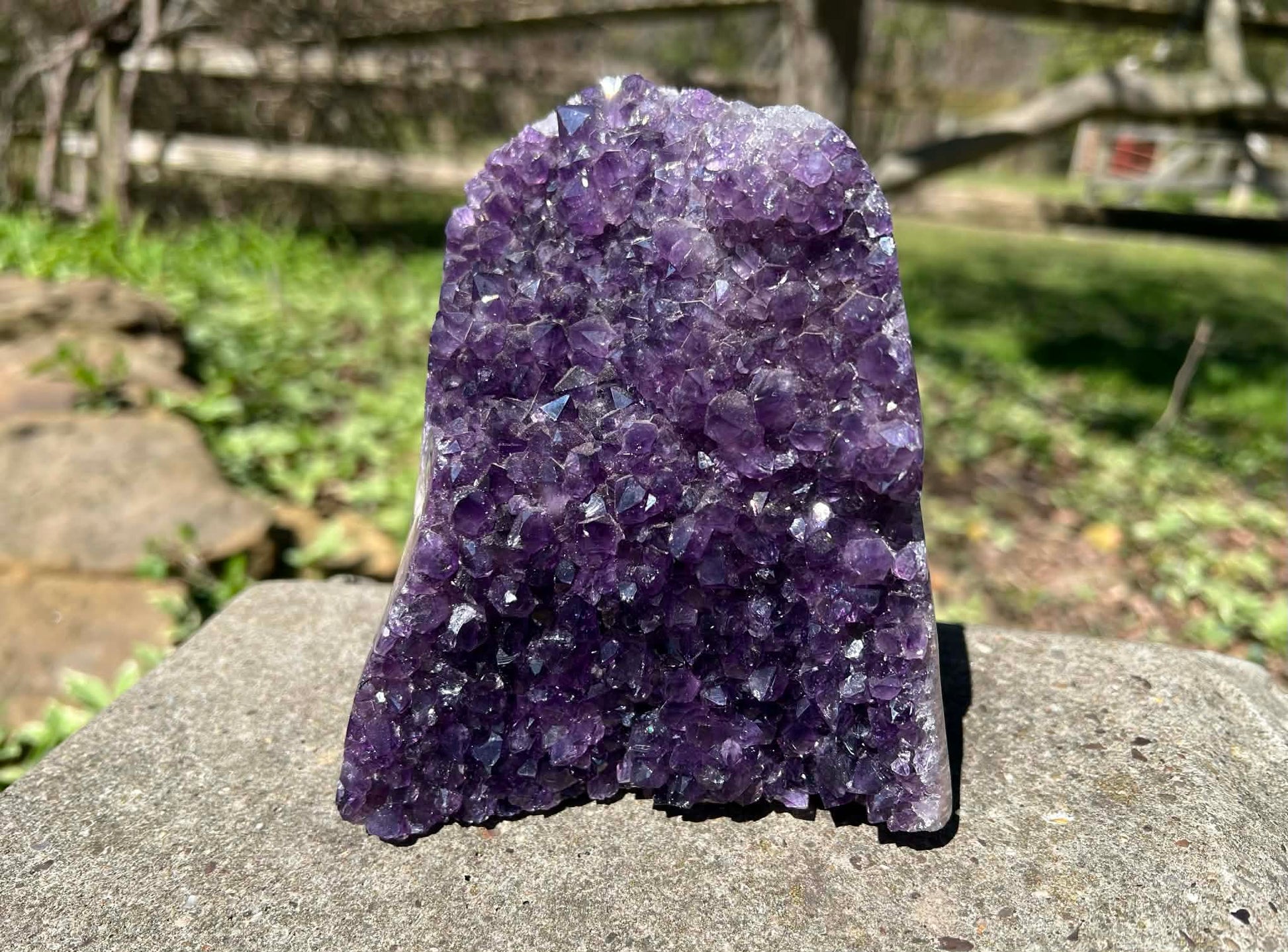 Amethyst Geode - Gem Realm 