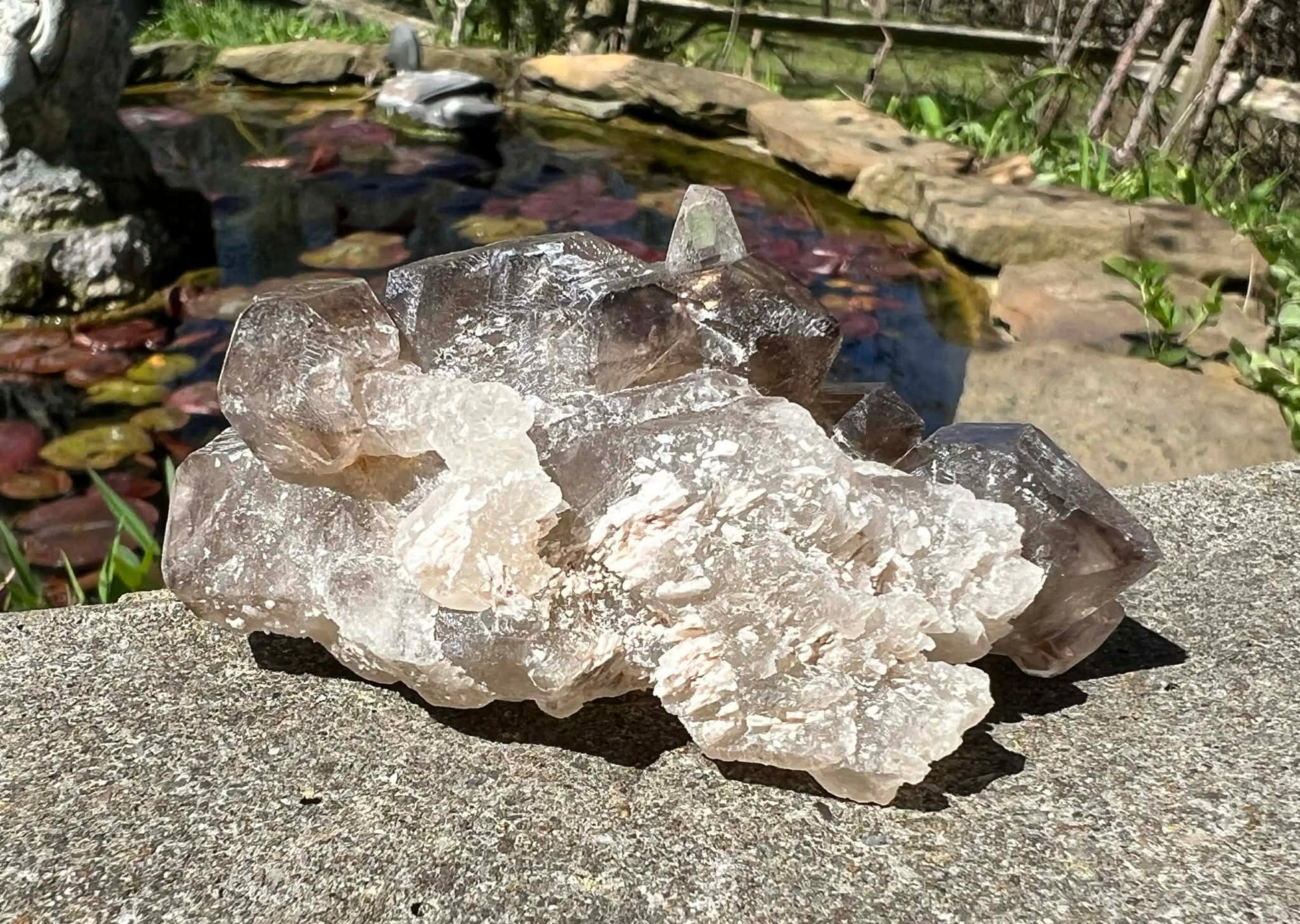 Smoky Elestial Quartz Specimen #8 - Gem Realm 