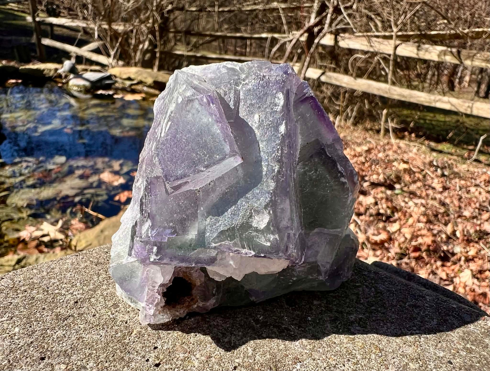 Rainbow Fluorite Specimen - Gem Realm 